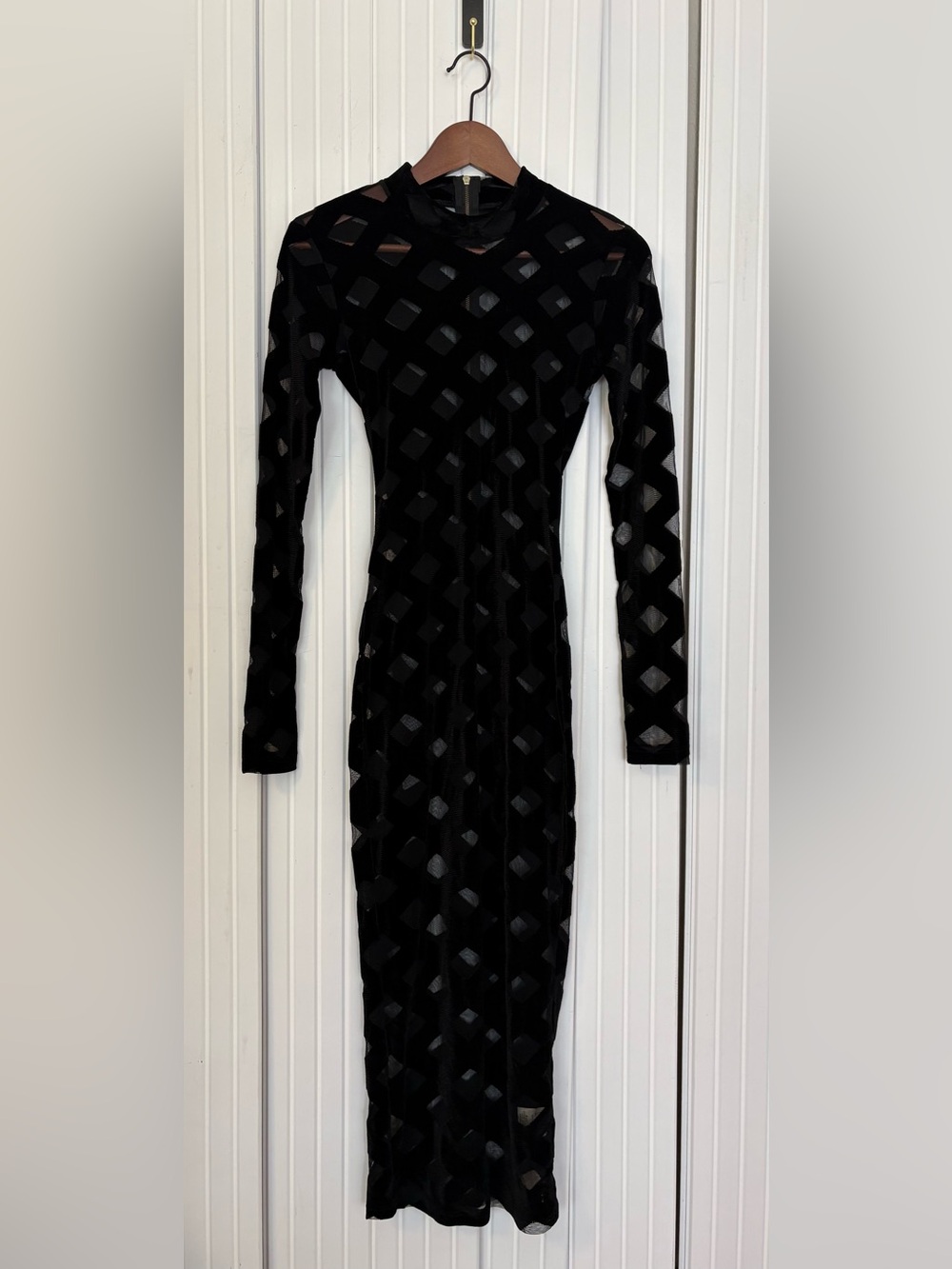 Womens Whimsigoth Dress Sheer Velvet Burnout Witchy Soft Goth Morticia Addams